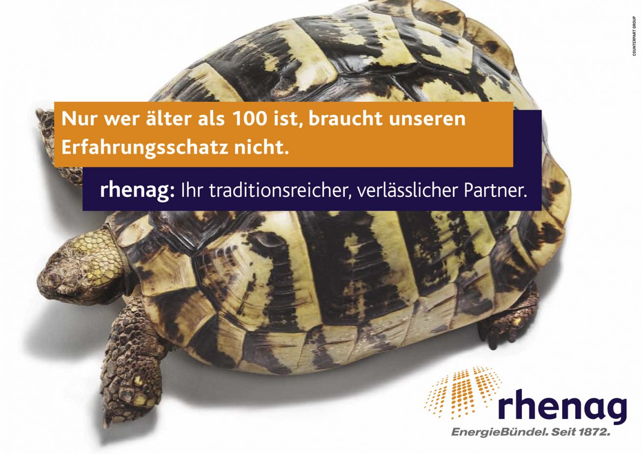 Rhenag Schildkroete