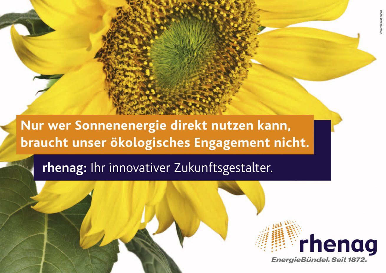 Rhenag Sonnenblume