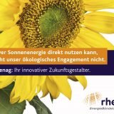 Rhenag Sonnenblume